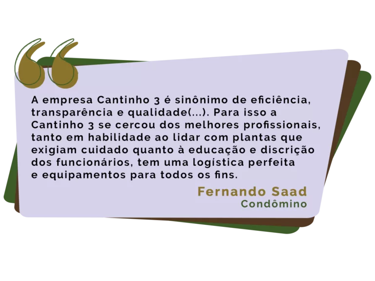 Fernando-Saad_2-1.png